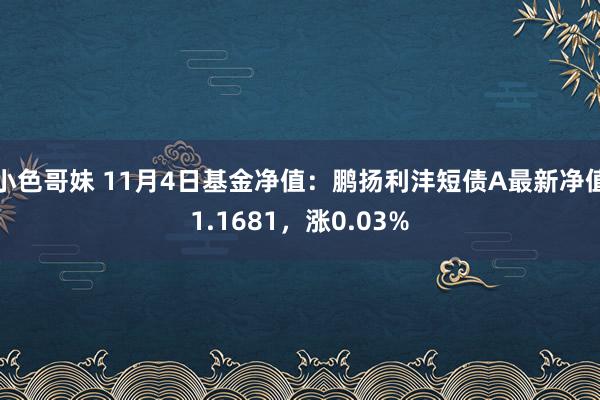 小色哥妹 11月4日基金净值：鹏扬利沣短债A最新净值1.1681，涨0.03%