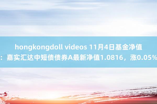 hongkongdoll videos 11月4日基金净值：嘉实汇达中短债债券A最新净值1.0816，涨0.05%