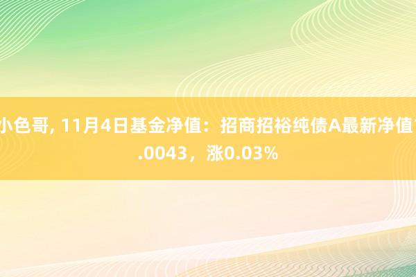 小色哥， 11月4日基金净值：招商招裕纯债A最新净值1.0043，涨0.03%