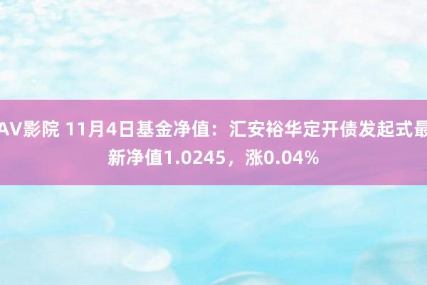 AV影院 11月4日基金净值：汇安裕华定开债发起式最新净值1.0245，涨0.04%