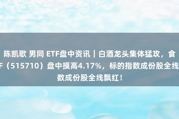 陈凯歌 男同 ETF盘中资讯｜白酒龙头集体猛攻，食物ETF（515710）盘中摸高4.17%，标的指数成份股全线飘红！