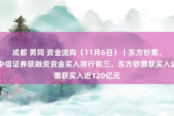 成都 男同 资金流向（11月6日）丨东方钞票、赛力斯、中信证券获融资资金买入排行前三，东方钞票获买入近120亿元