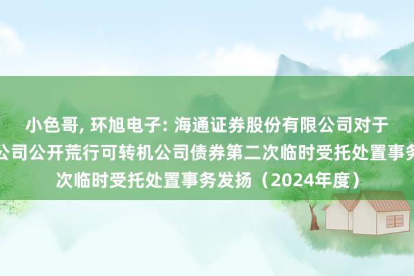 小色哥， 环旭电子: 海通证券股份有限公司对于环旭电子股份有限公司公开荒行可转机公司债券第二次临时受托处置事务发扬（2024年度）