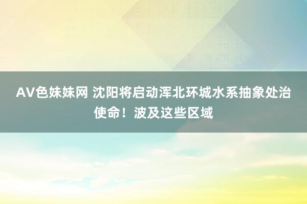 AV色妹妹网 沈阳将启动浑北环城水系抽象处治使命！波及这些区域