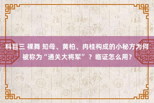 科目三 裸舞 知母、黄柏、肉桂构成的小秘方为何被称为“通关大将军” ？临证怎么用？