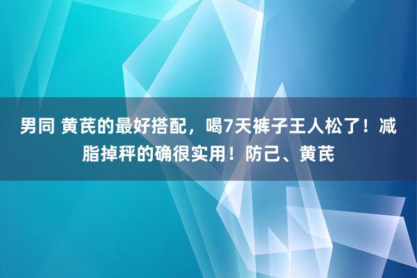 男同 黄芪的最好搭配，喝7天裤子王人松了！减脂掉秤的确很实用！防己、黄芪