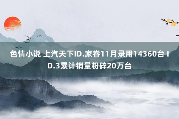 色情小说 上汽天下ID.家眷11月录用14360台 ID.3累计销量粉碎20万台