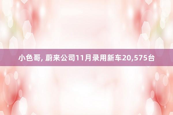 小色哥， 蔚来公司11月录用新车20，575台