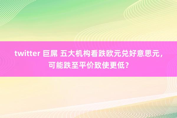 twitter 巨屌 五大机构看跌欧元兑好意思元，可能跌至平价致使更低？