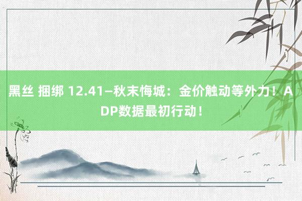 黑丝 捆绑 12.41—秋末悔城：金价触动等外力！ADP数据最初行动！