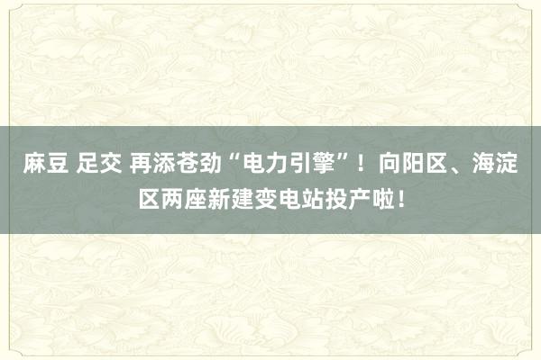 麻豆 足交 再添苍劲“电力引擎”！向阳区、海淀区两座新建变电站投产啦！