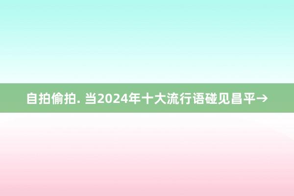 自拍偷拍. 当2024年十大流行语碰见昌平→