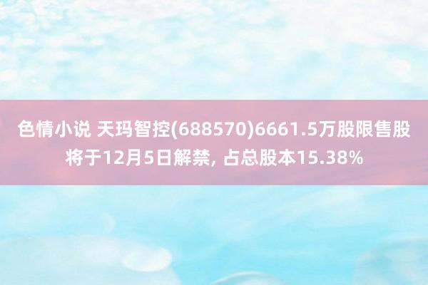 色情小说 天玛智控(688570)6661.5万股限售股将于12月5日解禁， 占总股本15.38%