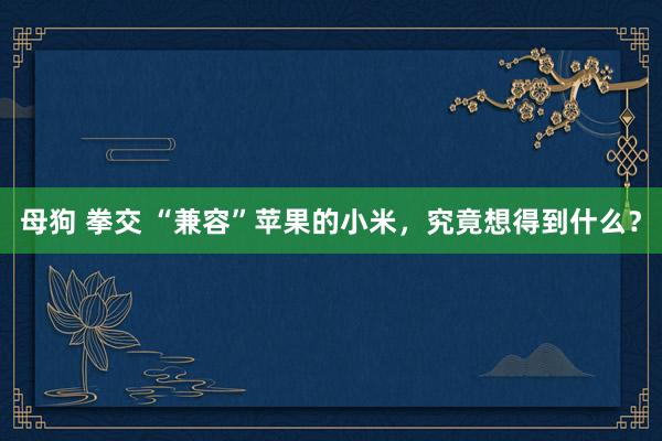 母狗 拳交 “兼容”苹果的小米，究竟想得到什么？