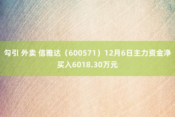 勾引 外卖 信雅达（600571）12月6日主力资金净买入6018.30万元