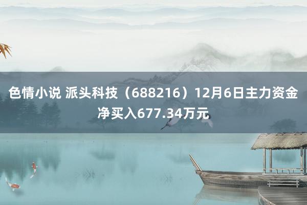 色情小说 派头科技（688216）12月6日主力资金净买入677.34万元