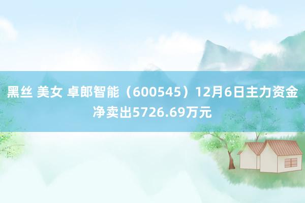 黑丝 美女 卓郎智能（600545）12月6日主力资金净卖出5726.69万元