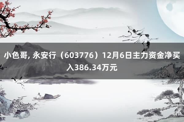 小色哥， 永安行（603776）12月6日主力资金净买入386.34万元