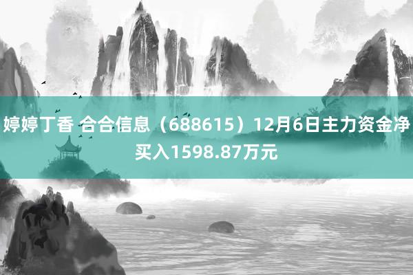 婷婷丁香 合合信息（688615）12月6日主力资金净买入1598.87万元