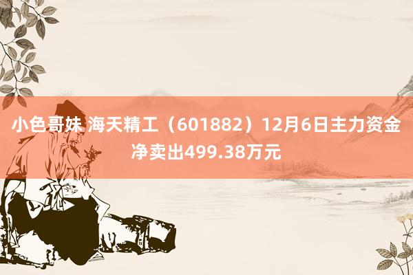 小色哥妹 海天精工（601882）12月6日主力资金净卖出499.38万元