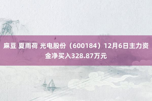 麻豆 夏雨荷 光电股份（600184）12月6日主力资金净买入328.87万元