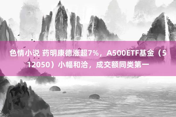 色情小说 药明康德涨超7%，A500ETF基金（512050）小幅和洽，成交额同类第一