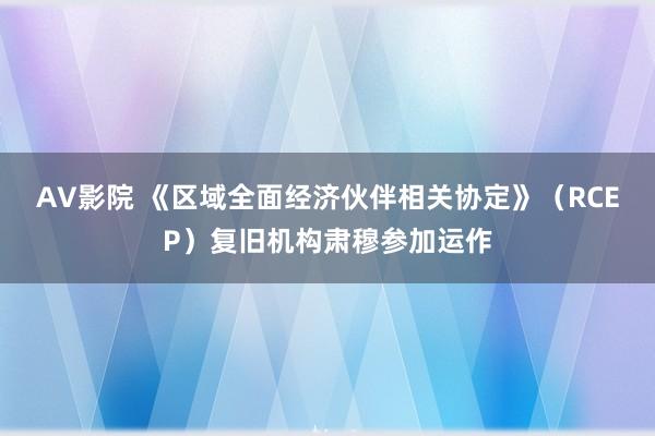 AV影院 《区域全面经济伙伴相关协定》（RCEP）复旧机构肃穆参加运作