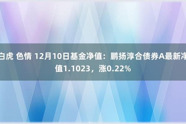 白虎 色情 12月10日基金净值：鹏扬淳合债券A最新净值1.1023，涨0.22%