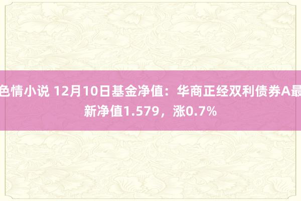 色情小说 12月10日基金净值：华商正经双利债券A最新净值1.579，涨0.7%