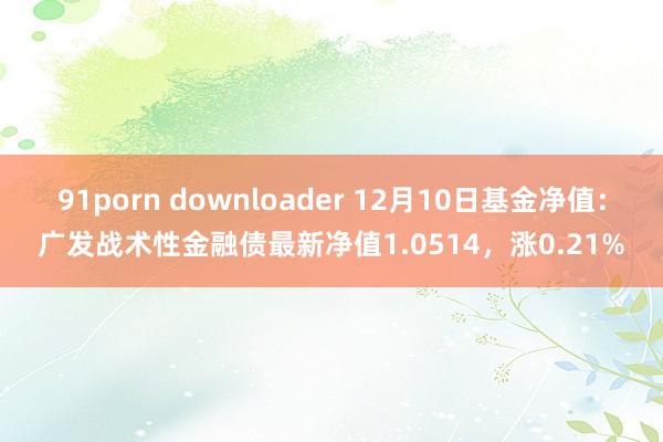 91porn downloader 12月10日基金净值：广发战术性金融债最新净值1.0514，涨0.21%