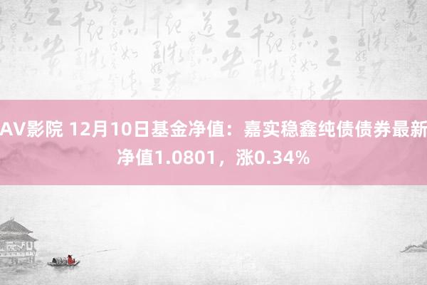 AV影院 12月10日基金净值：嘉实稳鑫纯债债券最新净值1.0801，涨0.34%