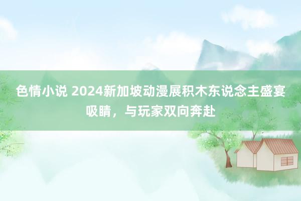 色情小说 2024新加坡动漫展积木东说念主盛宴吸睛，与玩家双向奔赴