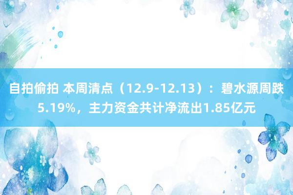 自拍偷拍 本周清点（12.9-12.13）：碧水源周跌5.19%，主力资金共计净流出1.85亿元