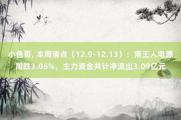 小色哥， 本周清点（12.9-12.13）：南王人电源周跌3.06%，主力资金共计净流出3.09亿元