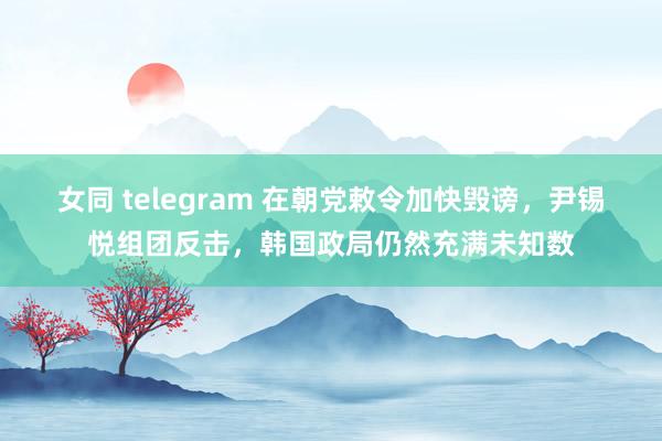 女同 telegram 在朝党敕令加快毁谤，尹锡悦组团反击，韩国政局仍然充满未知数