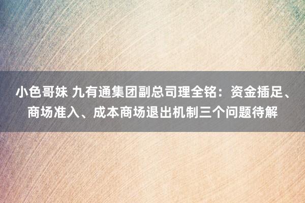 小色哥妹 九有通集团副总司理全铭：资金插足、商场准入、成本商场退出机制三个问题待解