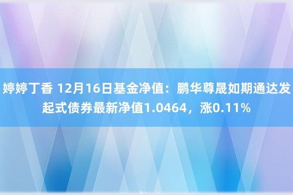 婷婷丁香 12月16日基金净值：鹏华尊晟如期通达发起式债券最新净值1.0464，涨0.11%