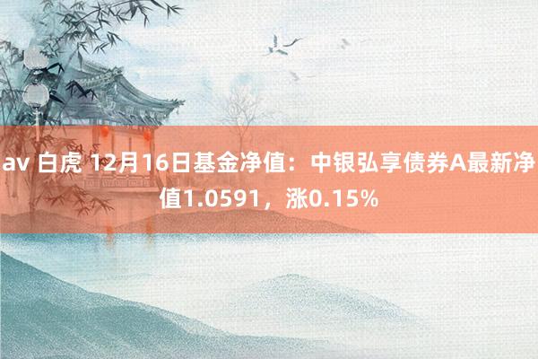 av 白虎 12月16日基金净值：中银弘享债券A最新净值1.0591，涨0.15%