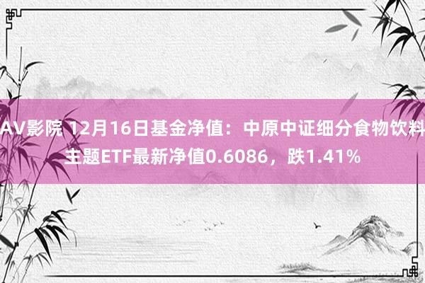 AV影院 12月16日基金净值：中原中证细分食物饮料主题ETF最新净值0.6086，跌1.41%