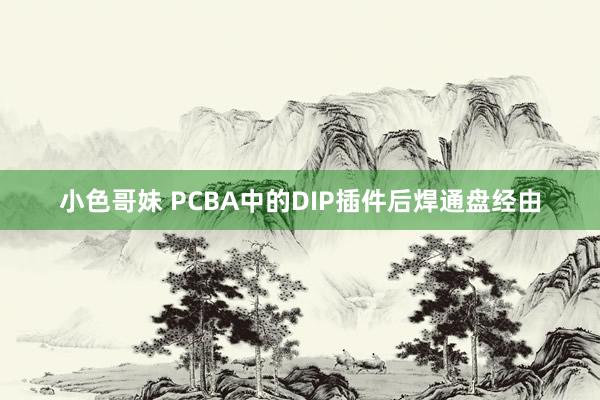 小色哥妹 PCBA中的DIP插件后焊通盘经由