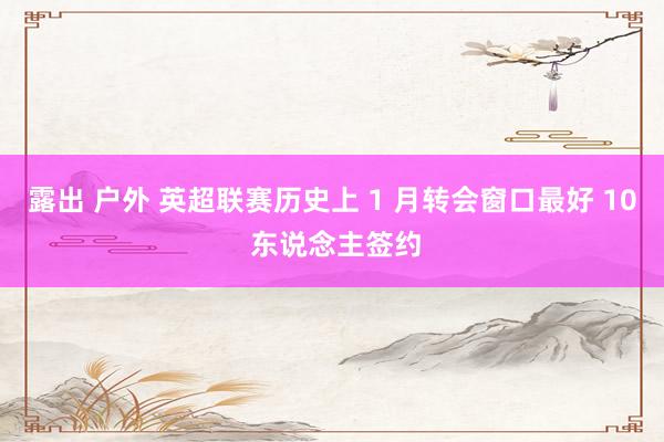 露出 户外 英超联赛历史上 1 月转会窗口最好 10 东说念主签约