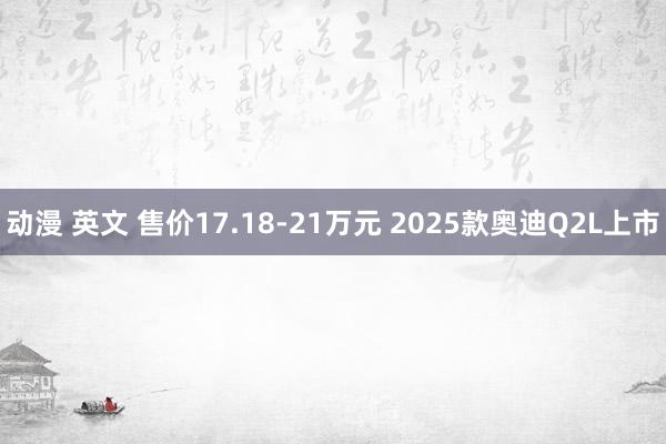 动漫 英文 售价17.18-21万元 2025款奥迪Q2L上市