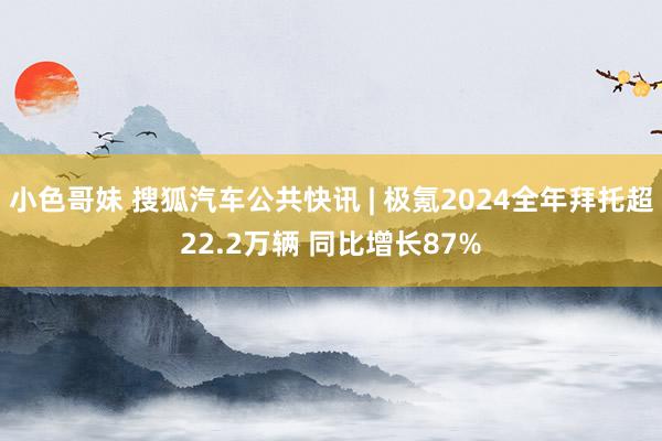 小色哥妹 搜狐汽车公共快讯 | 极氪2024全年拜托超22.2万辆 同比增长87%