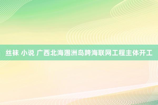 丝袜 小说 广西北海涠洲岛跨海联网工程主体开工