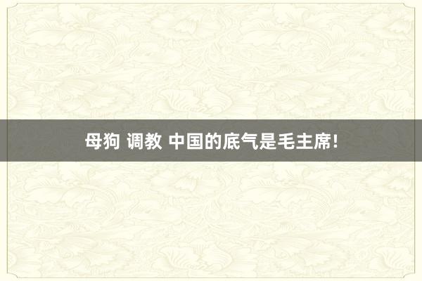 母狗 调教 中国的底气是毛主席!