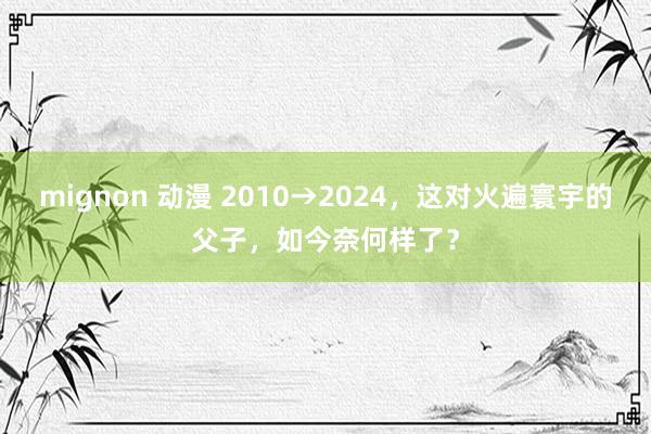 mignon 动漫 2010→2024，这对火遍寰宇的父子，如今奈何样了？