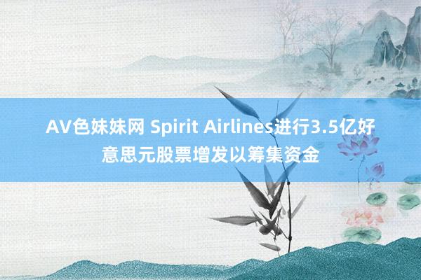 AV色妹妹网 Spirit Airlines进行3.5亿好意思元股票增发以筹集资金