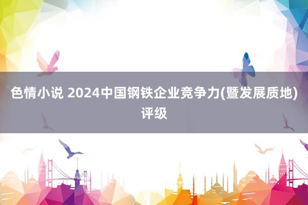 色情小说 2024中国钢铁企业竞争力(暨发展质地)评级