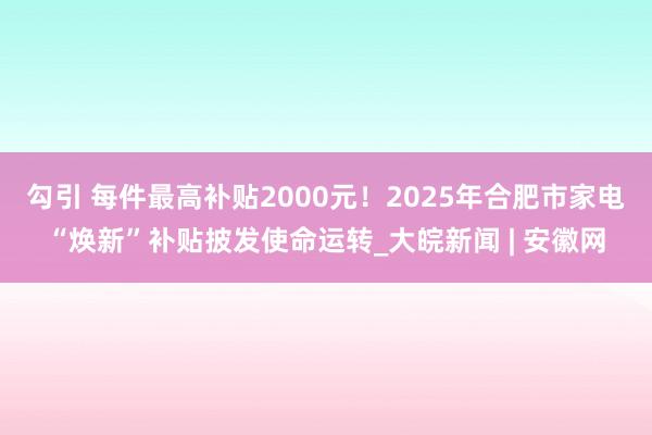 勾引 每件最高补贴2000元！2025年合肥市家电“焕新”补贴披发使命运转_大皖新闻 | 安徽网