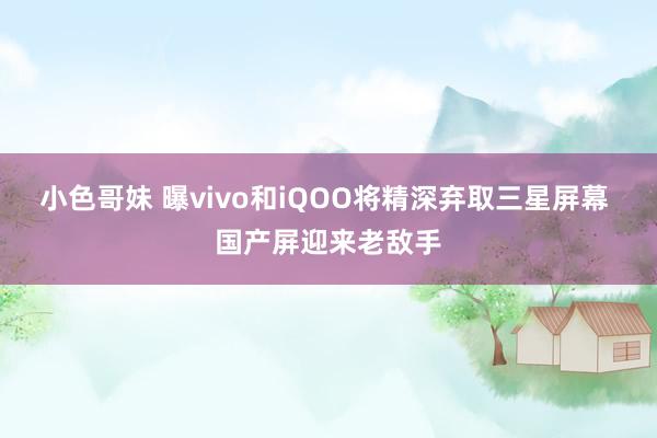 小色哥妹 曝vivo和iQOO将精深弃取三星屏幕 国产屏迎来老敌手